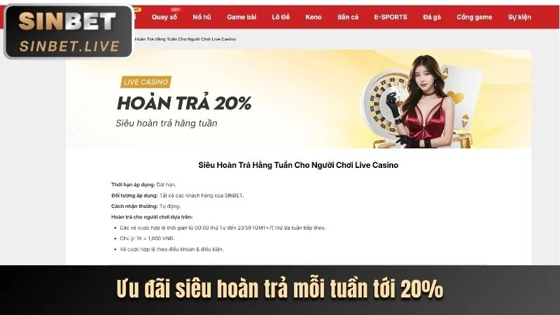 Live casino với người chia bài thật